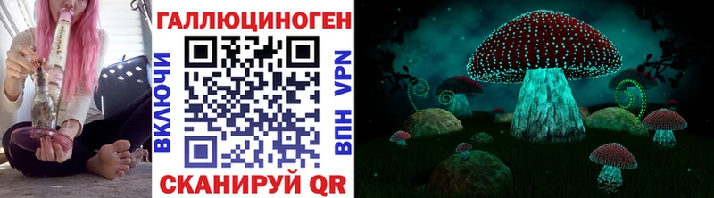 Галлюциногенные грибы Psilocybe  Верея 